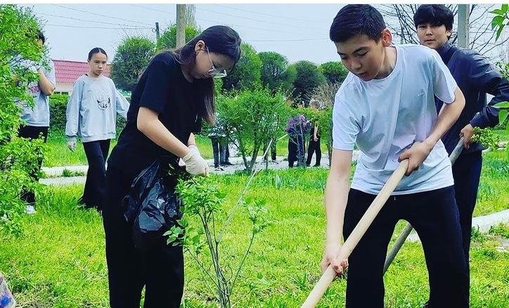 Таза аула жобасы